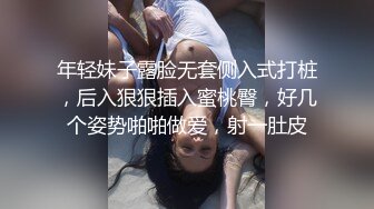 库存-操陕西大胸美眉！