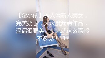 【金小依】秀人网新人美女，完美奶子，大尺度漏点作品，逼逼很肥美，上来就这么露都不多见！ (1)