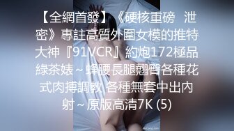 【全網首發】《硬核重磅☀泄密》專註高質外圍女模的推特大神『91VCR』約炮172極品綠茶婊～蜂腰長腿翹臀各種花式肉搏調教 各種無套中出內射～原版高清7K (5)