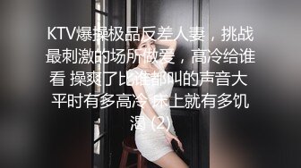 KTV爆操极品反差人妻，挑战最刺激的场所做爱，高冷给谁看 操爽了比谁都叫的声音大 平时有多高冷 床上就有多饥渴 (2)