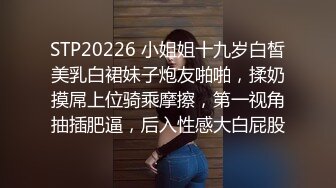 STP20226 小姐姐十九岁白皙美乳白裙妹子炮友啪啪，揉奶摸屌上位骑乘摩擦，第一视角抽插肥逼，后入性感大白屁股