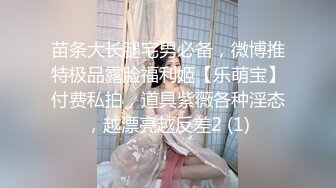 骚老婆日常2