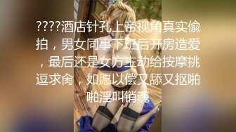 车震西安某商城气质女