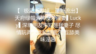 国产AV 葫芦影业 HUL032 美丽善良的家政妇