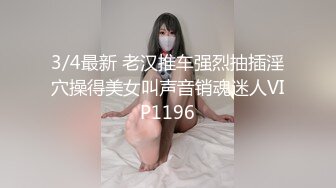 168_(sex)20230925_野外小母猫