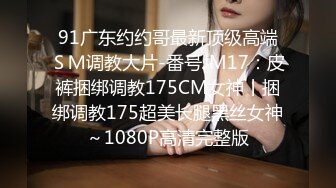 91Porn大神(冷S)调教母狗系列18部合集（调教界鼻祖）