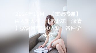 3/26最新 御姐跳蛋棒棒狠狠抽插淫穴好久没被男人碰过了VIP1196