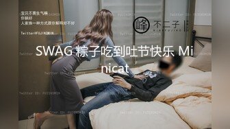 SWAG 粽子吃到吐节快乐 Minicat