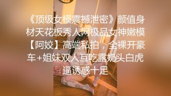 《顶级女模震撼泄密》颜值身材天花板秀人网极品女神嫩模【阿姣】高端私拍，全裸开豪车+姐妹双人互吃露奶头白虎逼诱惑十足