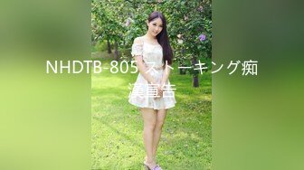 NHDTB-805 ストーキング痴漢宣告