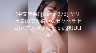 (中文字幕) [wanz-973] ゲリラ豪雨で大嫌いなセクハラ上司と二人きりになった夜JULIA