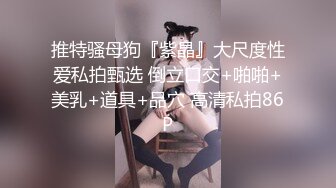 推特骚母狗『紫晶』大尺度性爱私拍甄选 倒立口交+啪啪+美乳+道具+品穴 高清私拍86P