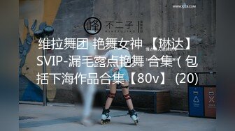 维拉舞团 艳舞女神 【琳达】SVIP-漏毛露点艳舞 合集（包括下海作品合集【80v】 (20)