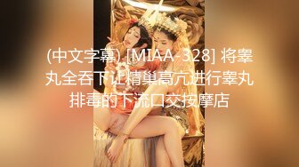 【新片速遞 】 极品气质女神约到酒店相聚，吃饱喝足后品尝爱抚丰满肉体，软软大屁股坐上去驰骋套弄啪啪吧叽销魂【水印】[1.55G/MP4/21:59]