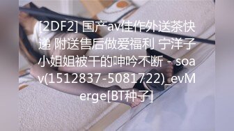 π822 我姐姐是我弟弟的性奴