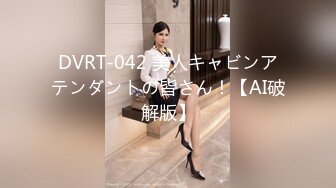 DVRT-042 美人キャビンアテンダントの皆さん！【AI破解版】