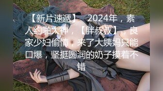 【新片速遞】   2024年，素人约啪大神，【胖叔叔】，良家少妇偷情，来了大姨妈只能口爆，坚挺圆润的奶子摸着不错