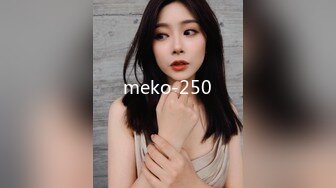 meko-250