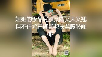 鱼网袜肥臀酒吧DJ