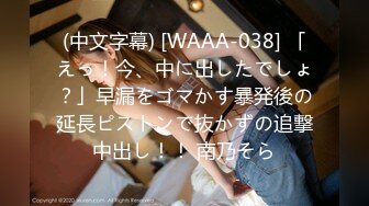 突然押しかけてきた嫁の姉さんに抜かれっぱなしの1泊2日 沙原さゆ