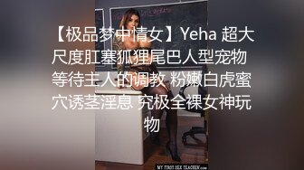 【极品梦中情女】Yeha 超大尺度肛塞狐狸尾巴人型宠物 等待主人的调教 粉嫩白虎蜜穴诱茎淫息 究极全裸女神玩物