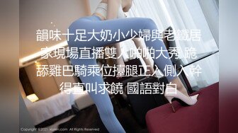 中年人的换妻之旅