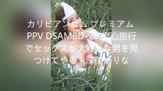 カリビアンコム プレミアム PPV DSAMBD-20 傷心旅行でセックスが大好きな男を見つけてやる - 深美せりな