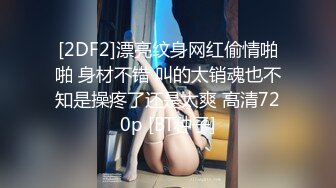 [2DF2]漂亮纹身网红偷情啪啪 身材不错 叫的太销魂也不知是操疼了还是太爽 高清720p [BT种子]