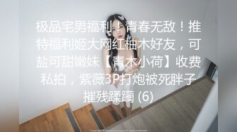  红唇大奶少妇，骑坐后入性感大屁股