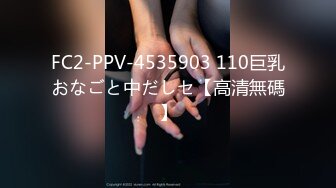 FC2-PPV-4535903 110巨乳おなごと中だしセ【高清無碼】