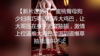 麻豆传媒 金麟岂是池中物  小凤新婚 全