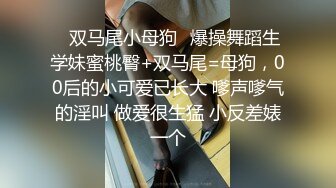 【胖子工作室】，極品高端外圍女神，風情萬種俏佳人，爆操騷逼激情無限