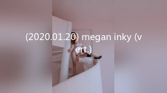 (2020.01.20) megan inky (vert.)