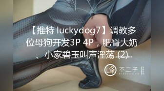 【推特 luckydog7】调教多位母狗开发3P 4P，肥臀大奶、小家碧玉叫声淫荡 (2)