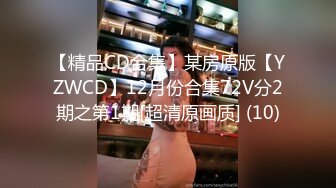 【精品CD合集】某房原版【YZWCD】12月份合集72V分2期之第1期[超清原画质] (10)