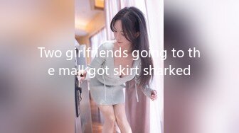 Two girlfriends going to the mall got skirt sharked