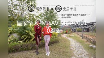 麻豆传媒映画最新国产AV佳作 MD0112 私人麻将馆小妹上碰下槓自摸清一色-艾秋