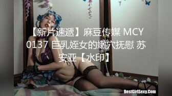 【新片速遞】麻豆传媒 MCY0137 巨乳姪女的嫩穴抚慰 苏安亚【水印】